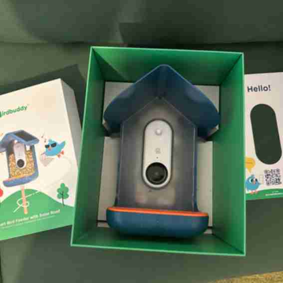 Bird Buddy Reviews