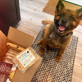 Just Food For Dogs