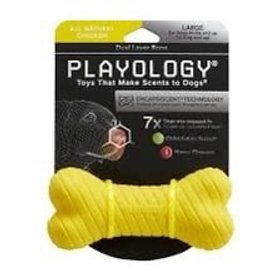 Playology