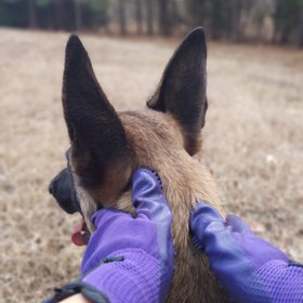 HandsOn Gloves