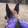 HandsOn Gloves
