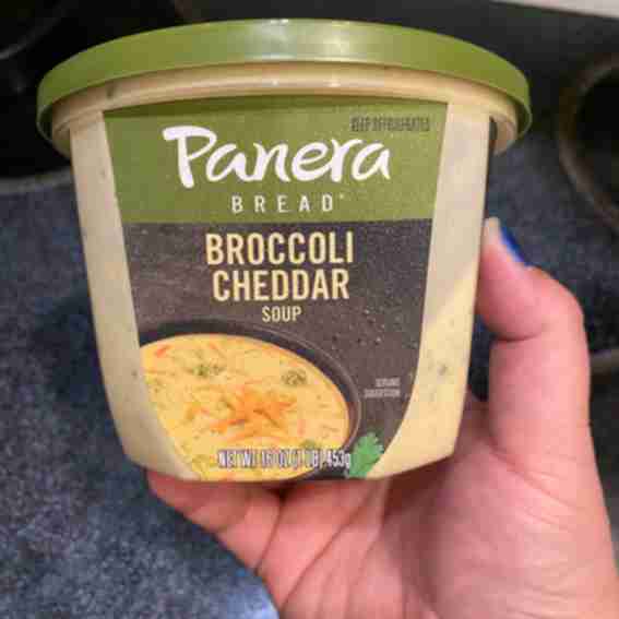 Panera Reviews