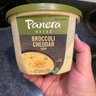 Panera