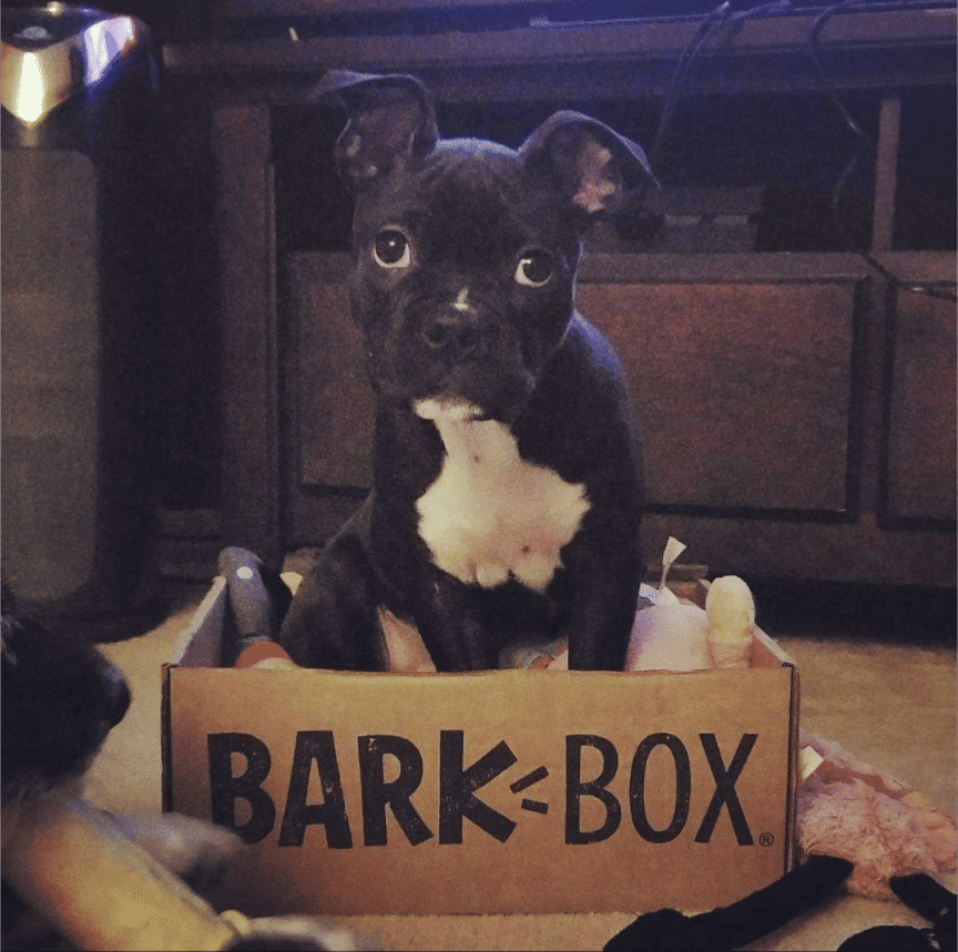 barkbox complaints