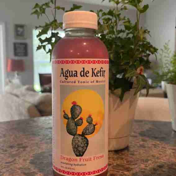 SYNERGY Kombucha Reviews