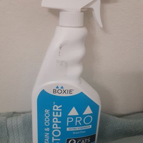 Boxiecat