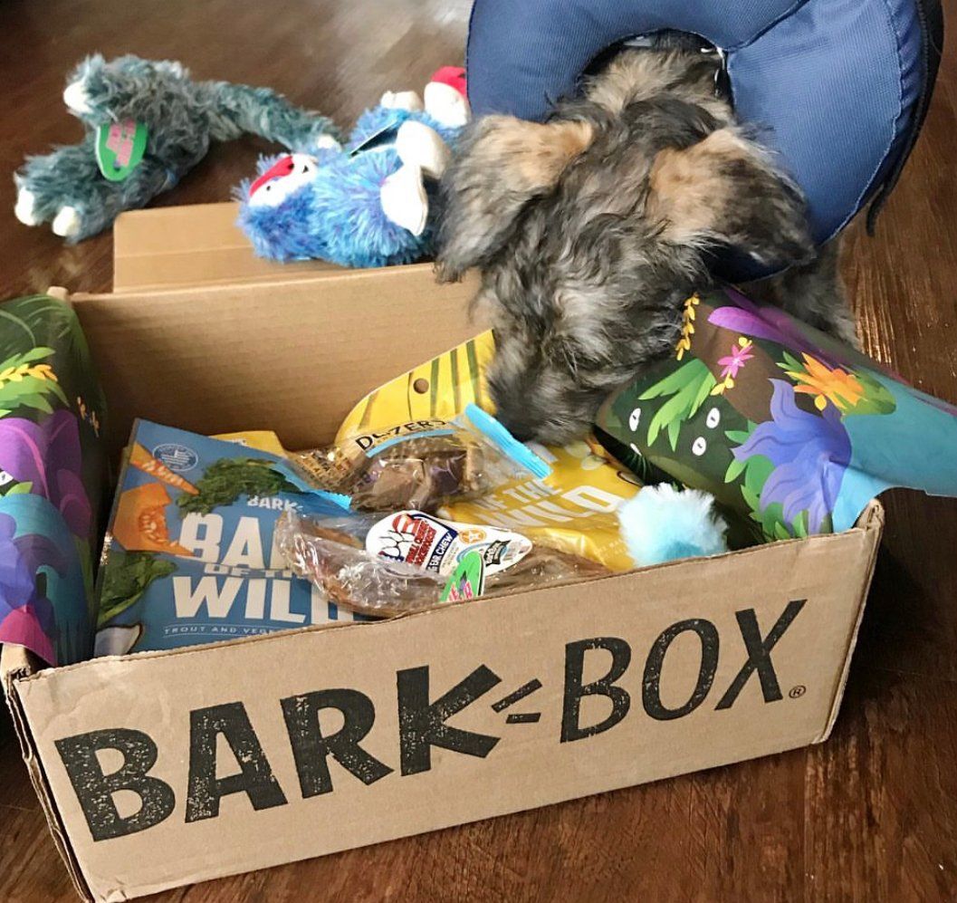 barkbox complaints