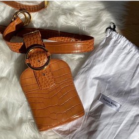 Parisa Wang