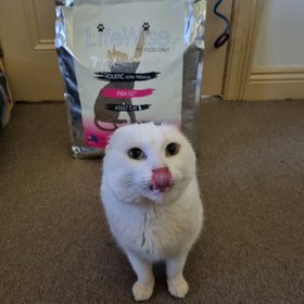 Lifewise Pet Food