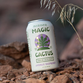 MAGIC CACTUS