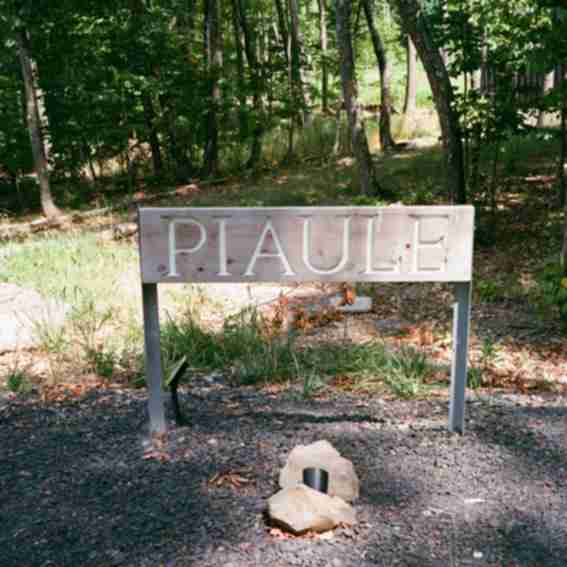 Piaule Reviews