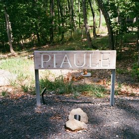 Piaule