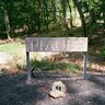 Piaule