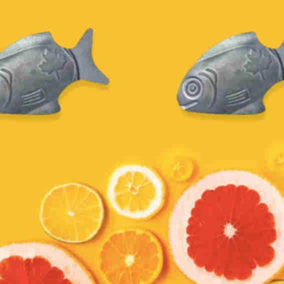 Lucky iron fish Reviews