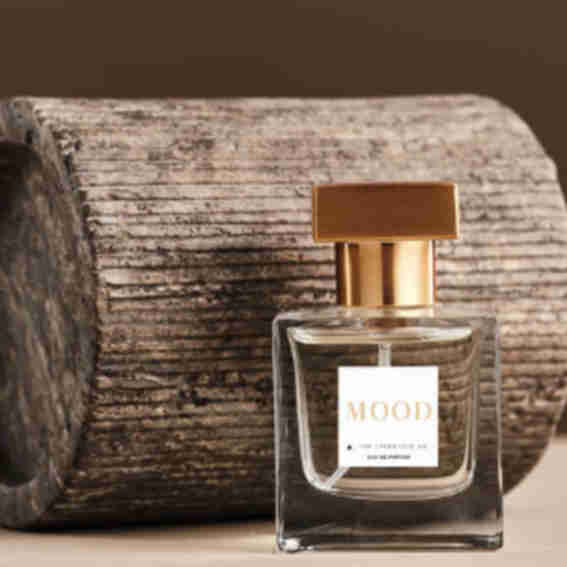 The Lyfestyle Co. Reviews