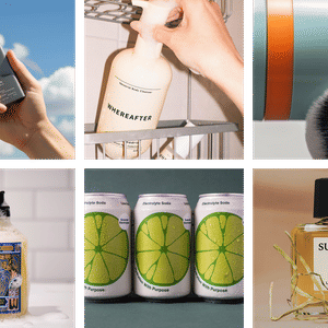 Bon Voyage Reviews 2026 - Read Before You Buy | Thingtesting